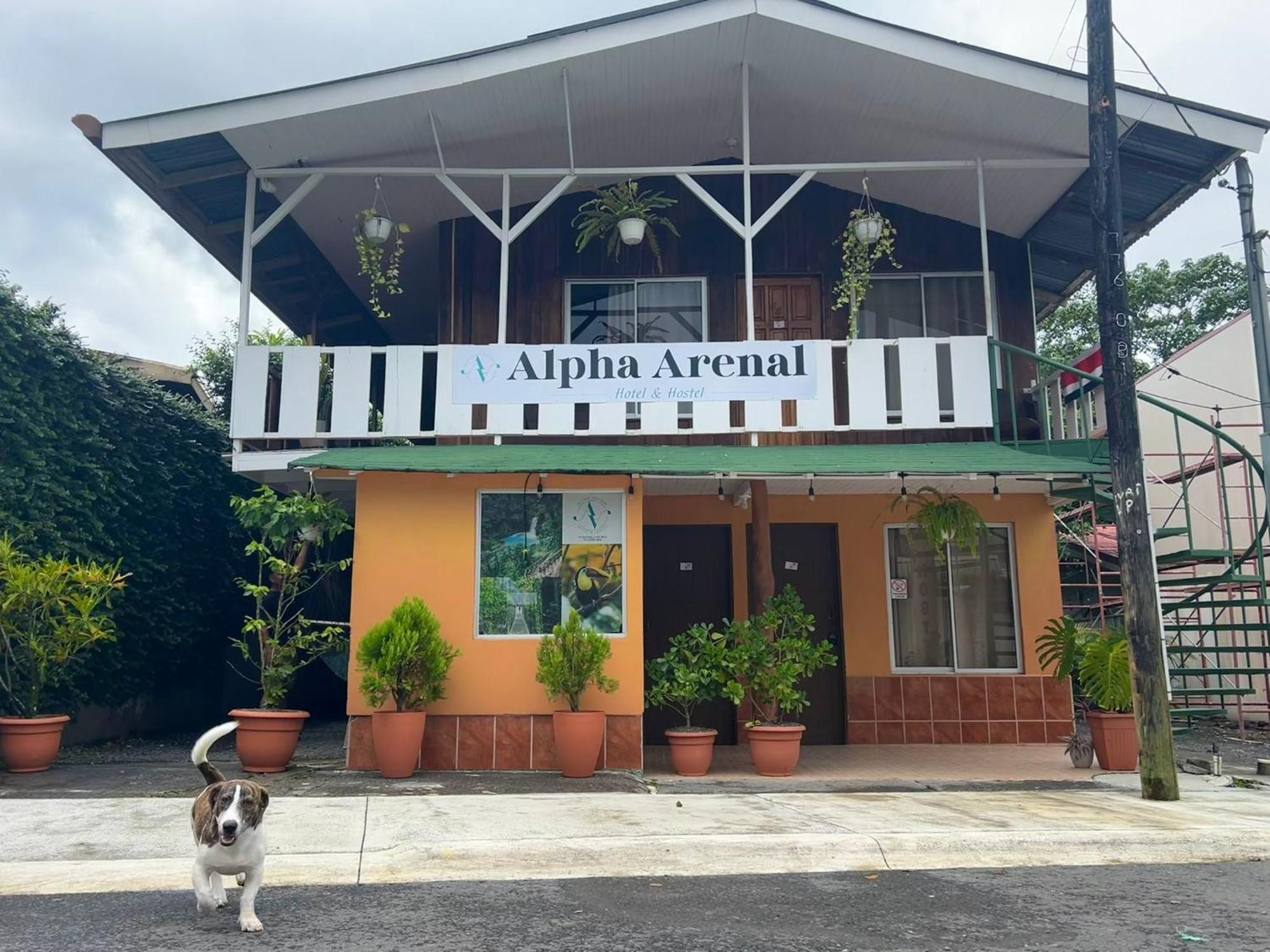 بيت شباب Alpha Arenal La Fortuna المظهر الخارجي الصورة